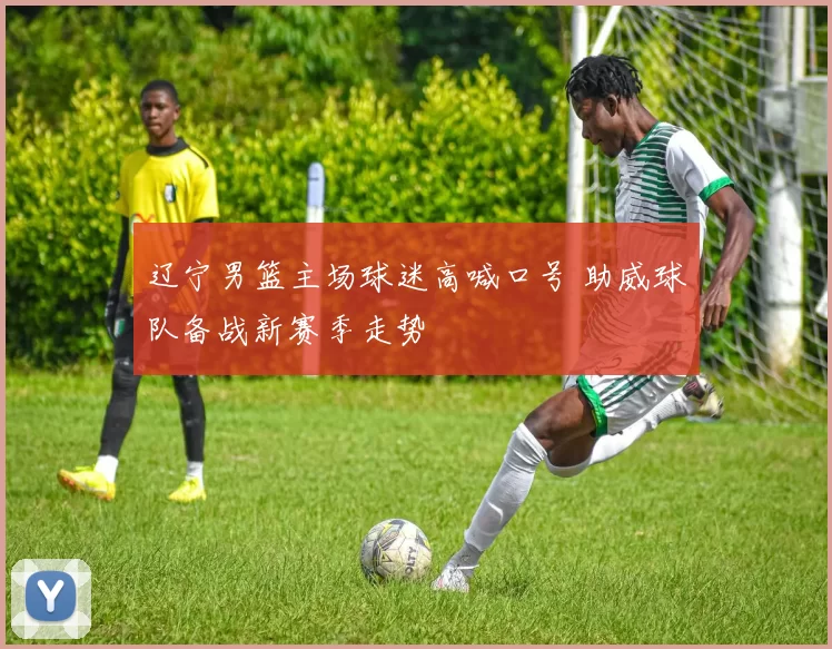 辽宁男篮主场球迷高喊口号 助威球队备战新赛季走势