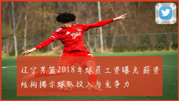 辽宁男篮2018年球员工资曝光 薪资结构揭示球队投入与竞争力